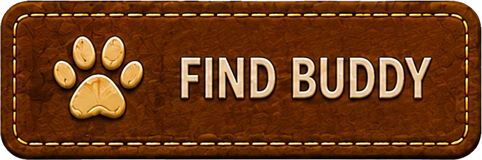 Find Buddy